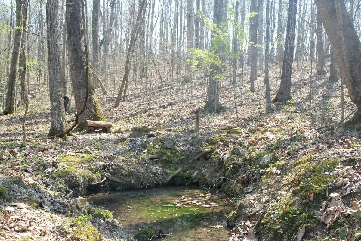 3578 Wolf Creek Road, Spring City, TN 37381 - #1