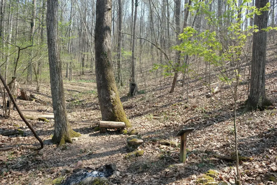 3578 Wolf Creek Road, Spring City, TN 37381 - #3