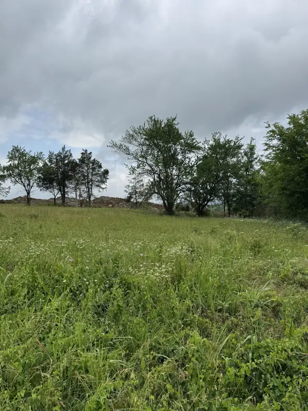 1555 E Stewarts Ln, Nashville, TN 37218
