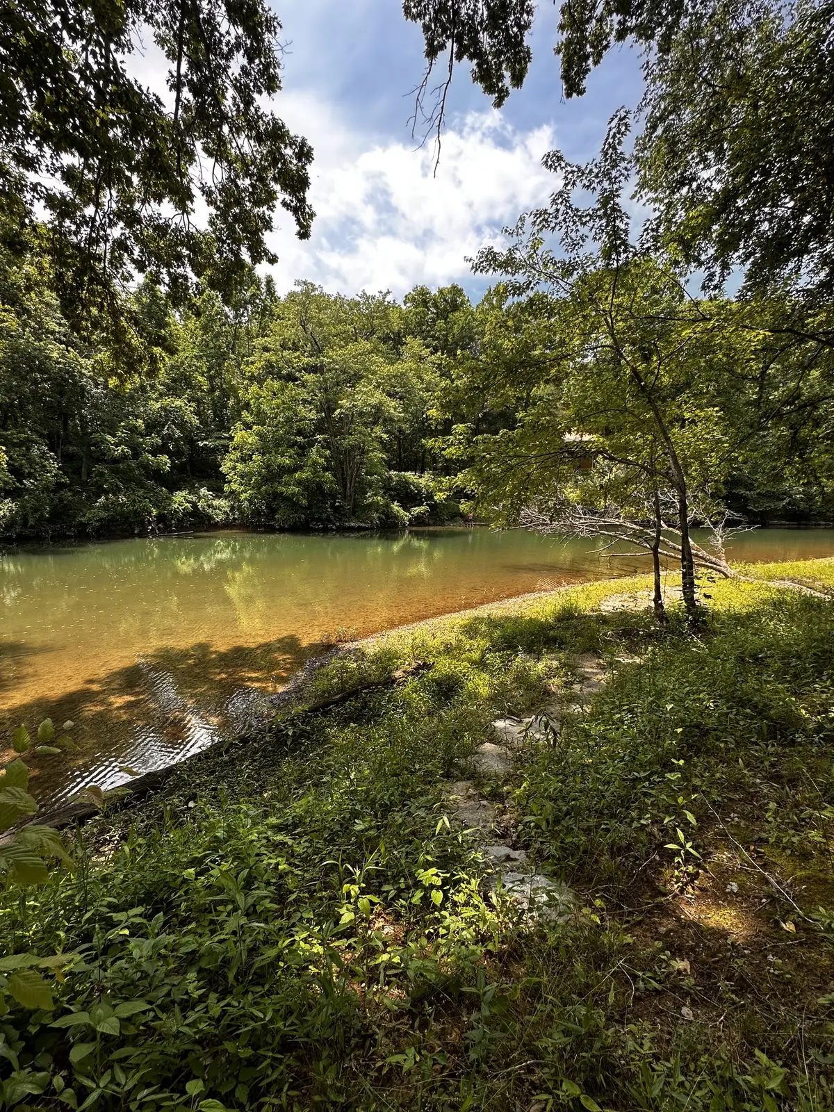 238 Texas Bottom Ln, Hohenwald, TN 38462 - #1