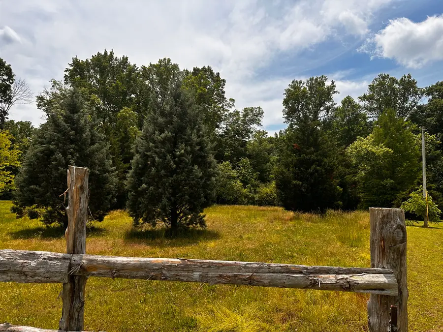238 Texas Bottom Ln, Hohenwald, TN 38462 - #2