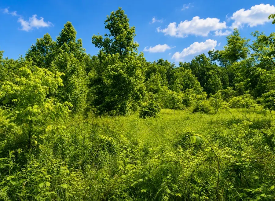 0 Oak Knob Road, Lafayette, TN 37083 - #2
