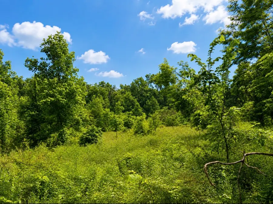 0 Oak Knob Road, Lafayette, TN 37083 - #3