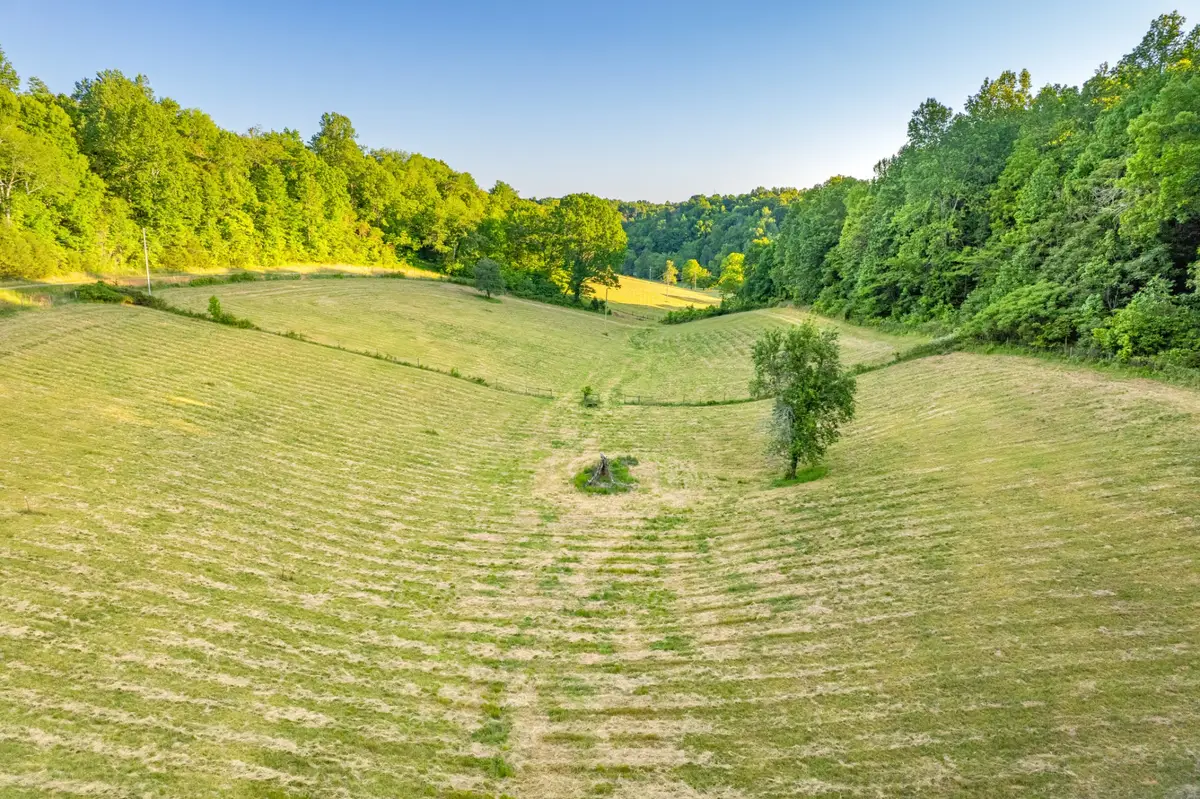 6A Young Rd, Pulaski, TN 38478 - #1