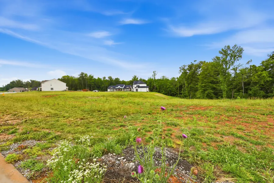 705 Sandringham Ct, Clarksville, TN 37043 - #2