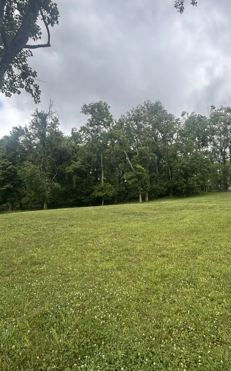 269 Rock Cress Road, Nolensville, TN 37135 - #2