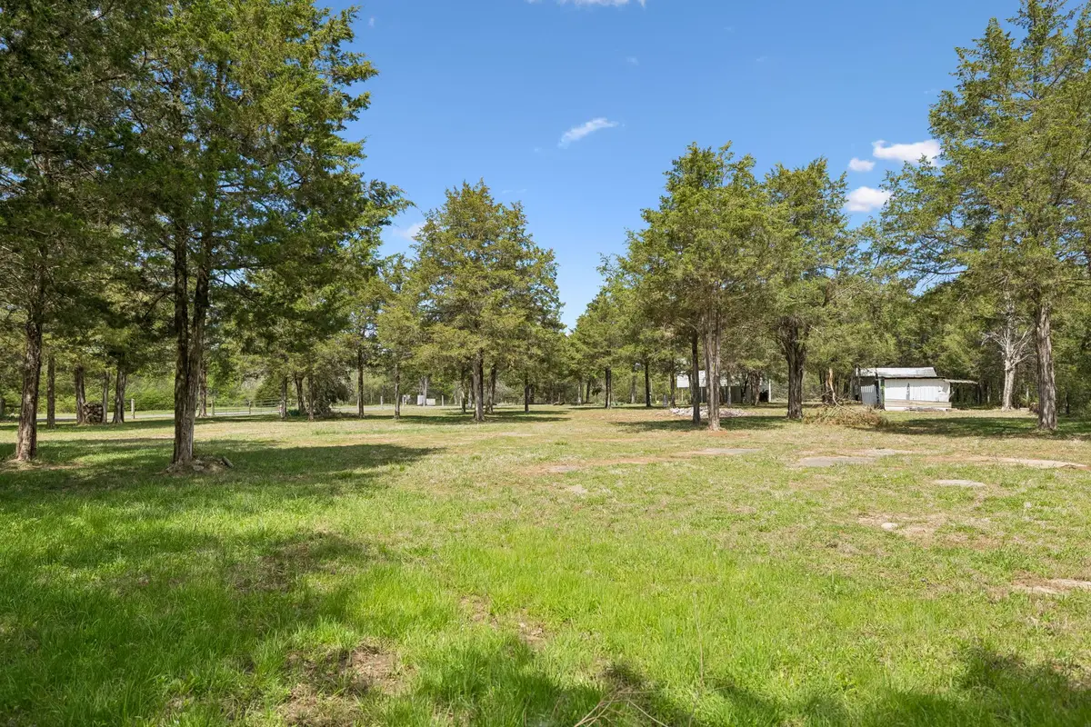 160 Osteen Ln, Chapel Hill, TN 37034 - #1
