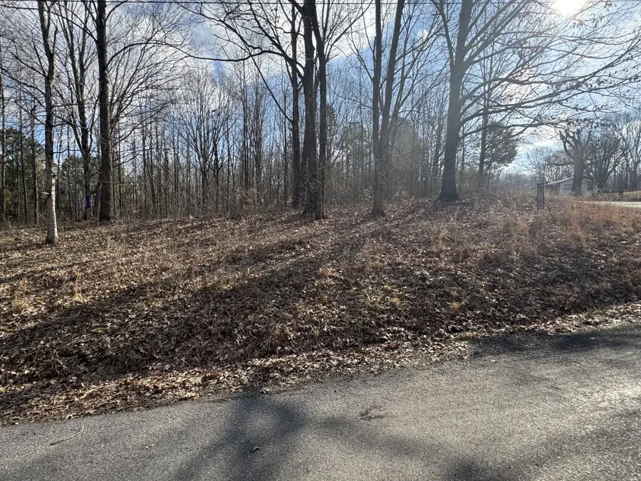 0 Crestview Dr, Bumpus Mills, TN 37028 - #3