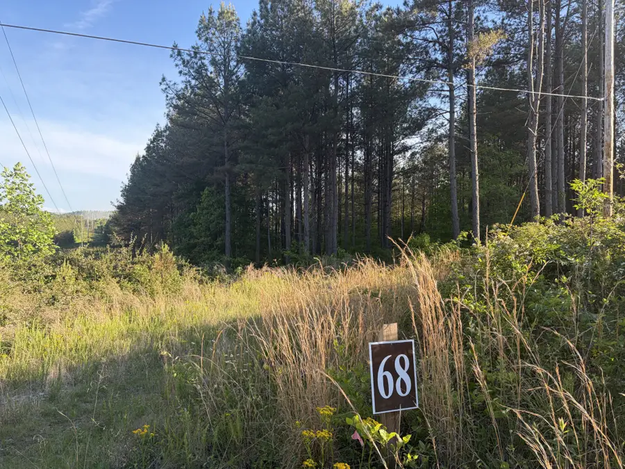 0 Black Bear Lane, Sunbright, TN 37872 - #2