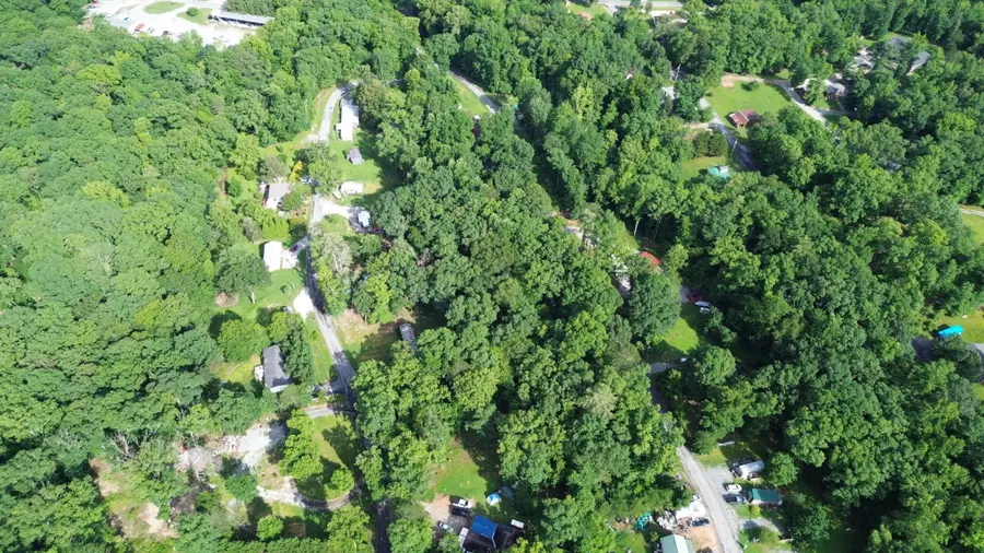 114 Randall Fugate Road, Spring City, TN 37381 - #3