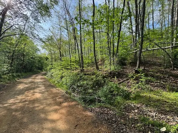 455 Moss Spring Hollow Road, Centerville, TN 37033