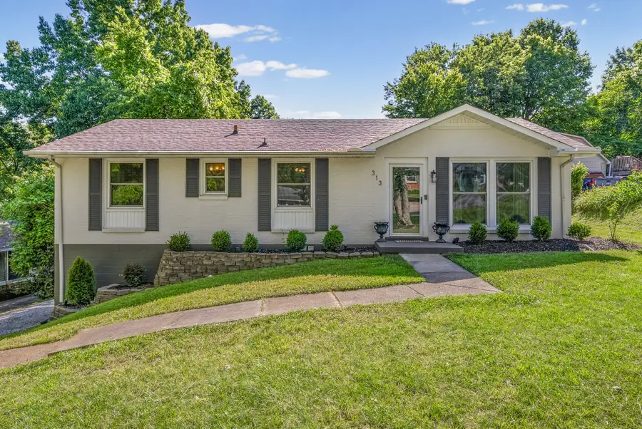 313 Hilldale Ln, Clarksville, TN 37043 - #3