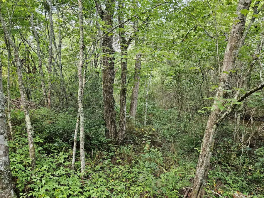32 Belaire Drive, Copperhill, TN 37317 - #3