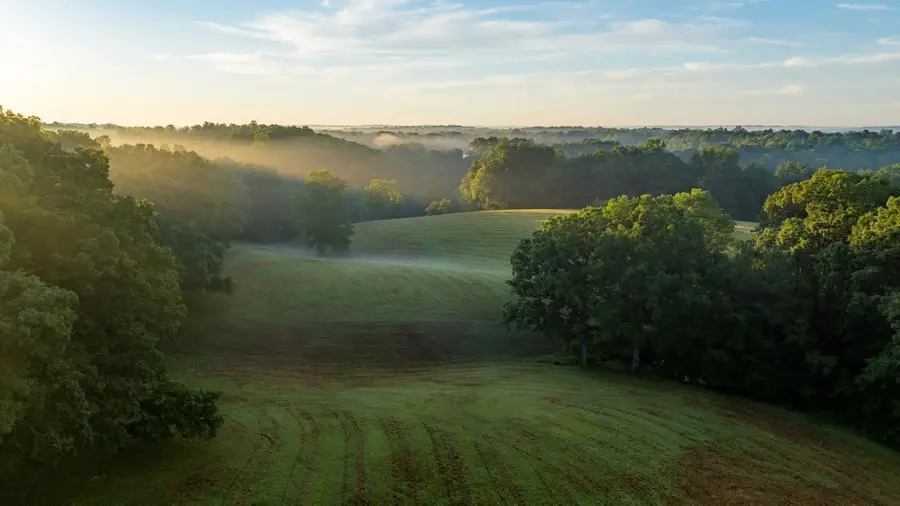 1462 Highway 48 S, Dickson, TN 37055 - #2