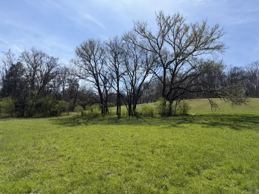 23 Fly Rd, Santa Fe, TN 38482 - #3