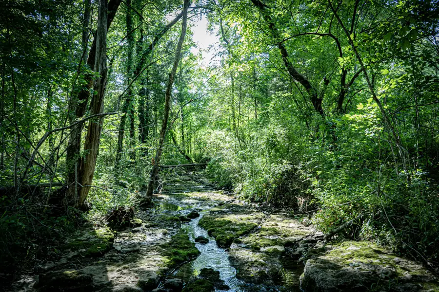 0 Pulaski Highway, Fayetteville, TN 37334 - #3