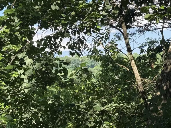 214 Middle Ridge Road, Beersheba Springs, TN 37305