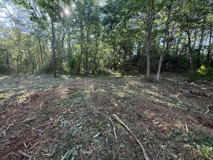 214 Middle Ridge Road, Beersheba Springs, TN 37305 - #3