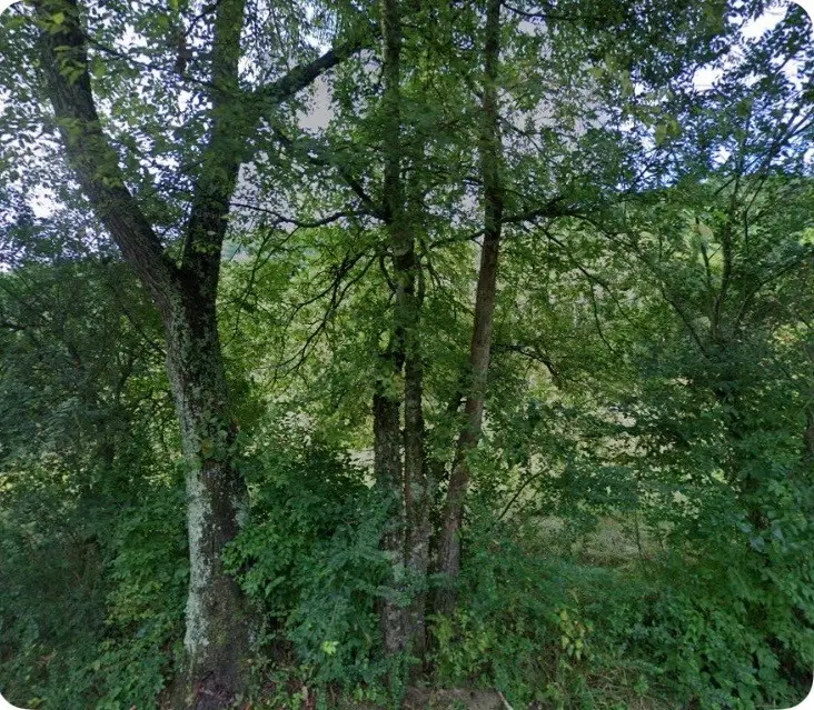5034 Seymour Hollow Rd, Whites Creek, TN 37189 - #1