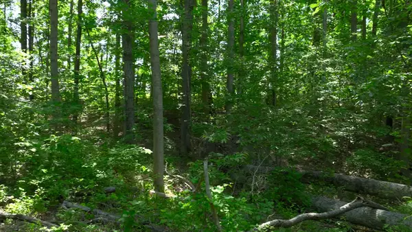 0 Oak Hill, Lyles, TN 37098