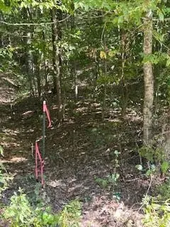 6166 Chestnut Valley Road, Vonore, TN 37885 - #2