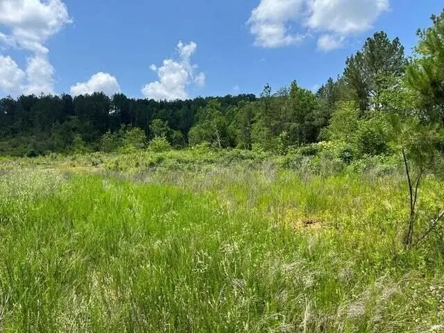 0 County Road, Athens, TN 37303 - #1