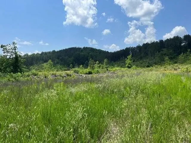 0 County Road, Athens, TN 37303 - #2