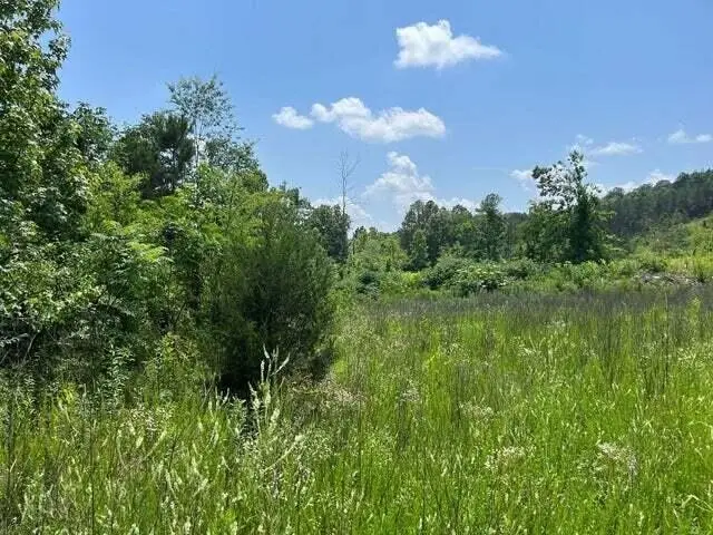 0 County Road, Athens, TN 37303 - #3