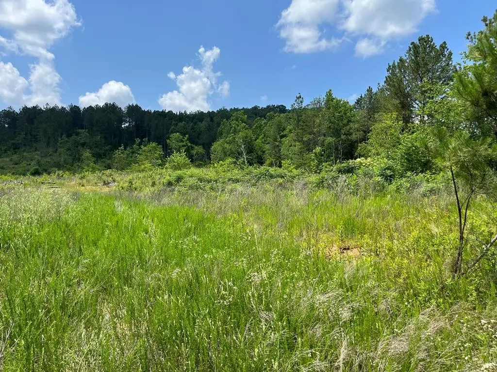 0 County Road 53, Athens, TN 37303 - #1