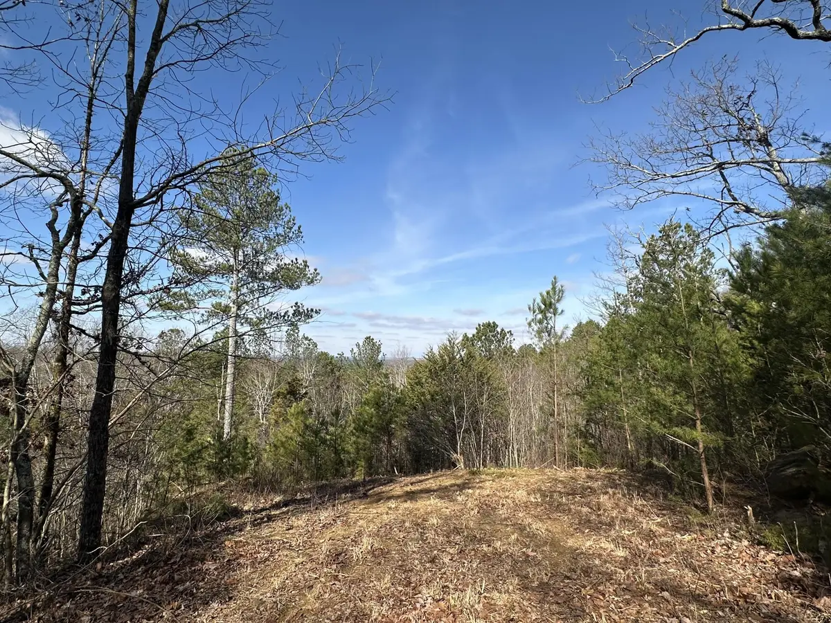 125 Fox Trail Drive, Old Fort, TN 37362 - #1