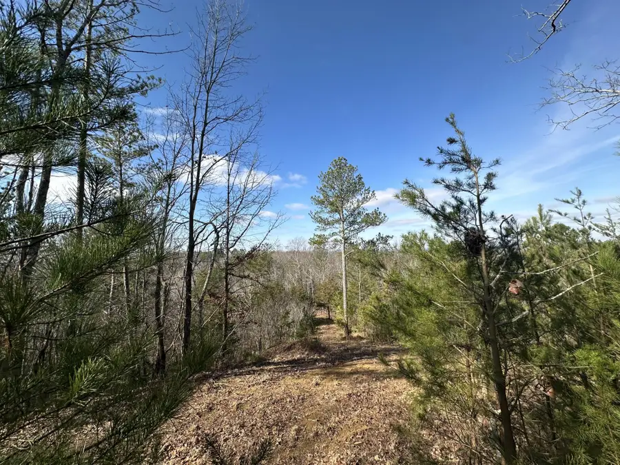 125 Fox Trail Drive, Old Fort, TN 37362 - #3