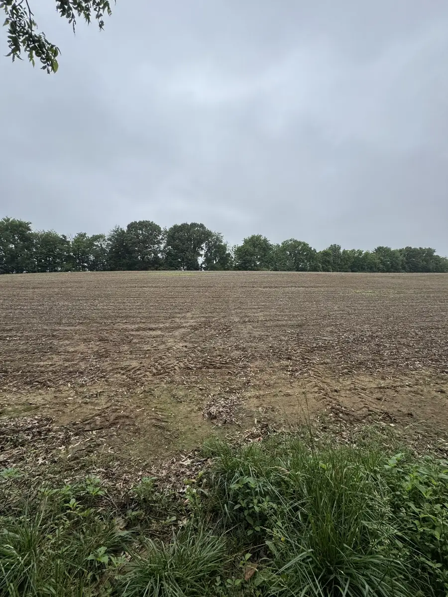 325 Harts Mill Rd, Atwood, TN 38220 - #3