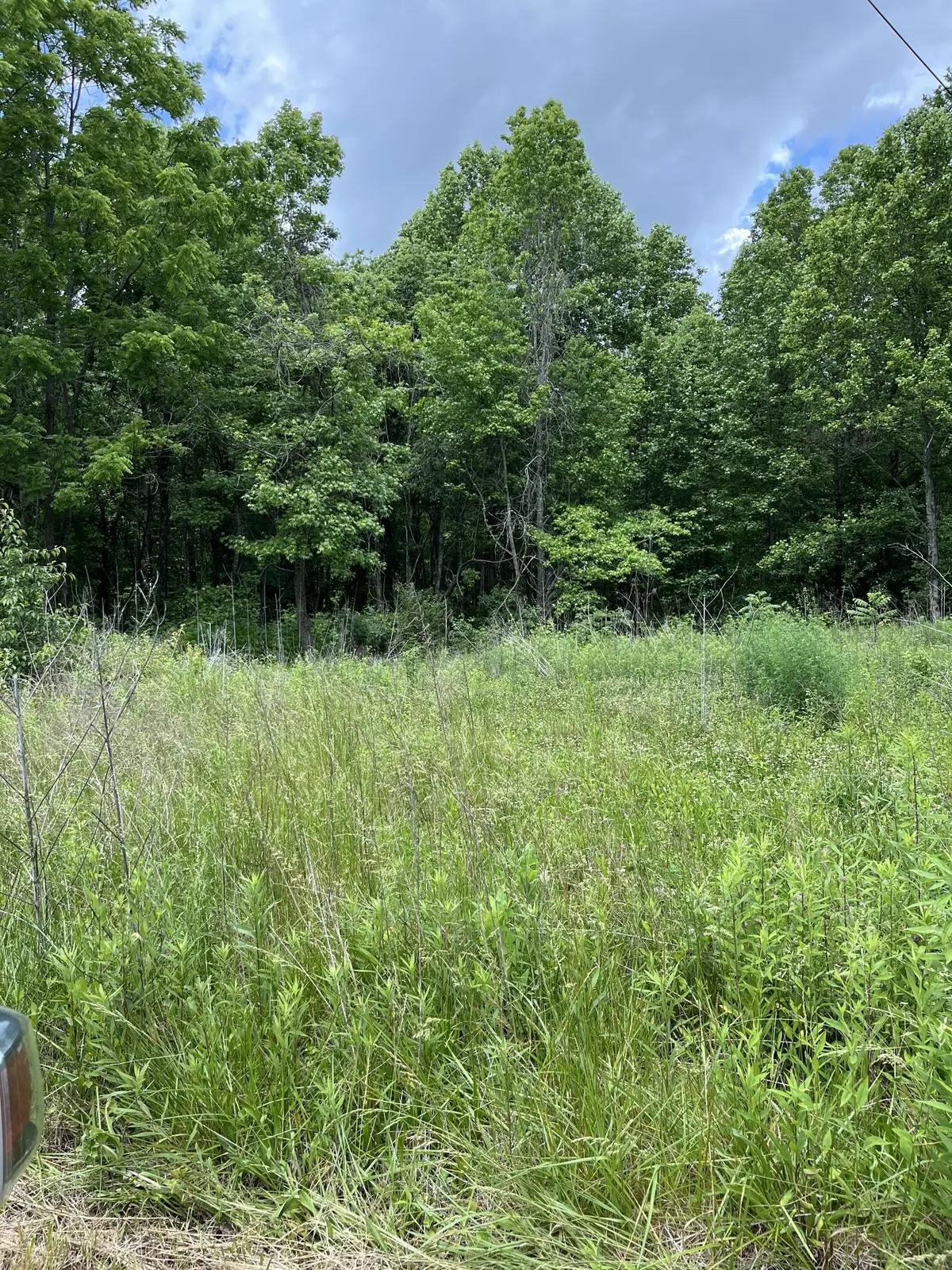 349 Fire Tower Rd, Tracy City, TN 37387 - #1