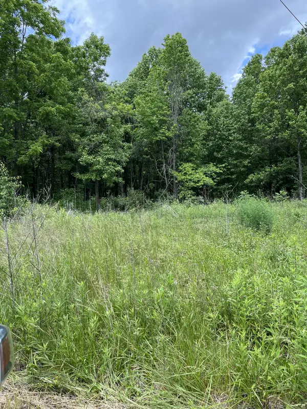 349 Fire Tower Rd, Tracy City, TN 37387