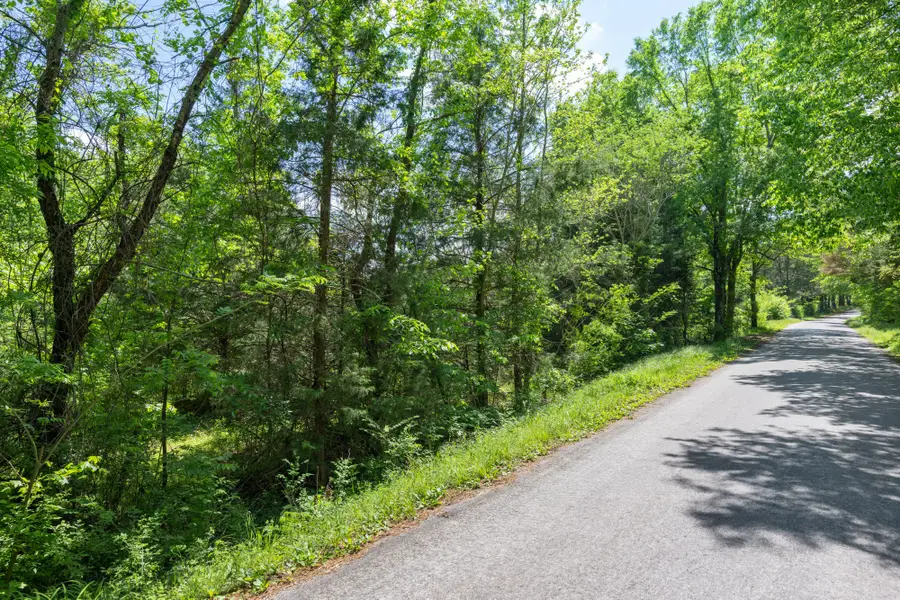 0 Red Williams Rd, Huntingdon, TN 38344 - #3