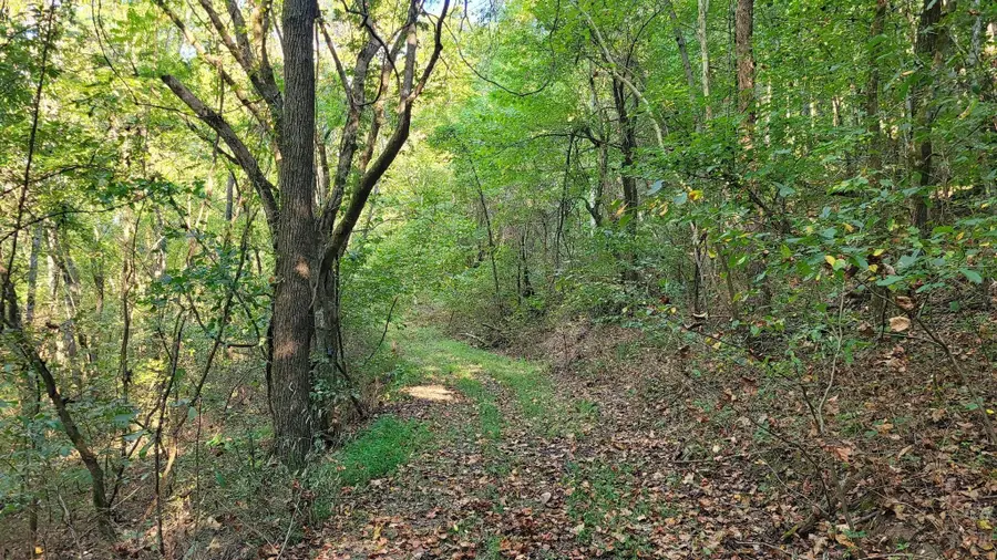 48 Hannah Br Rd, Petersburg, TN 37144 - #3