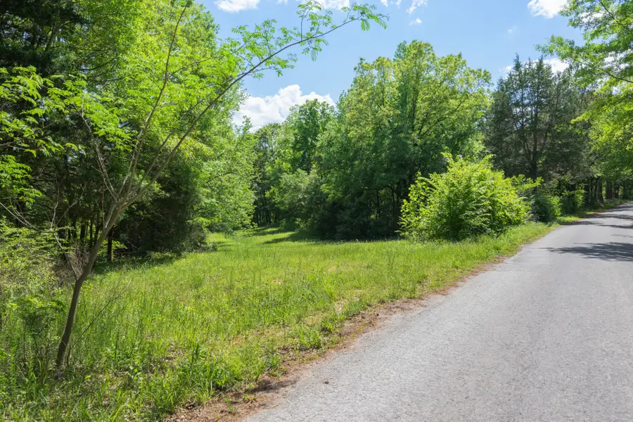 0 Red Williams Rd, Huntingdon, TN 38344 - #3