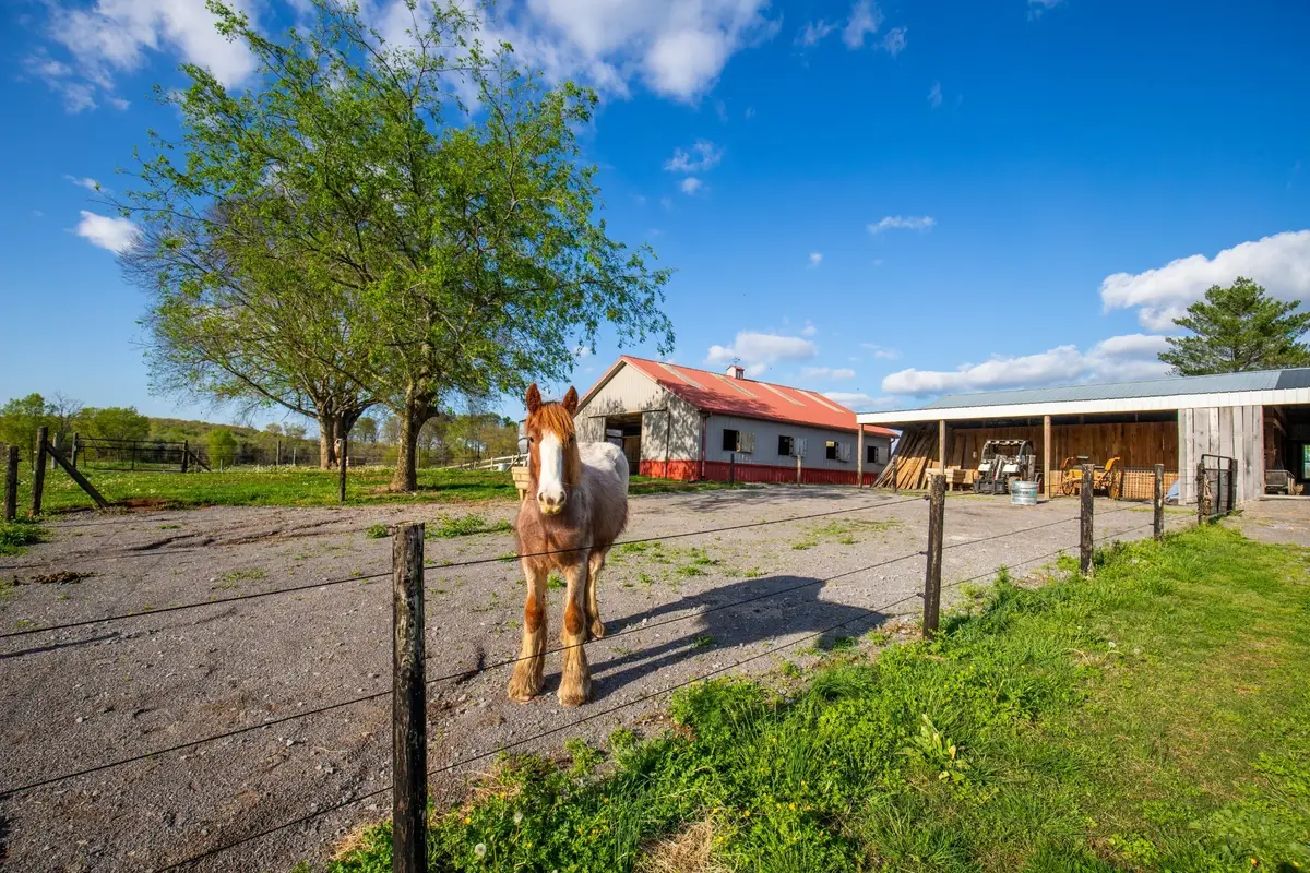 501 Burnt Hill Rd, Unionville, TN 37180 - #1