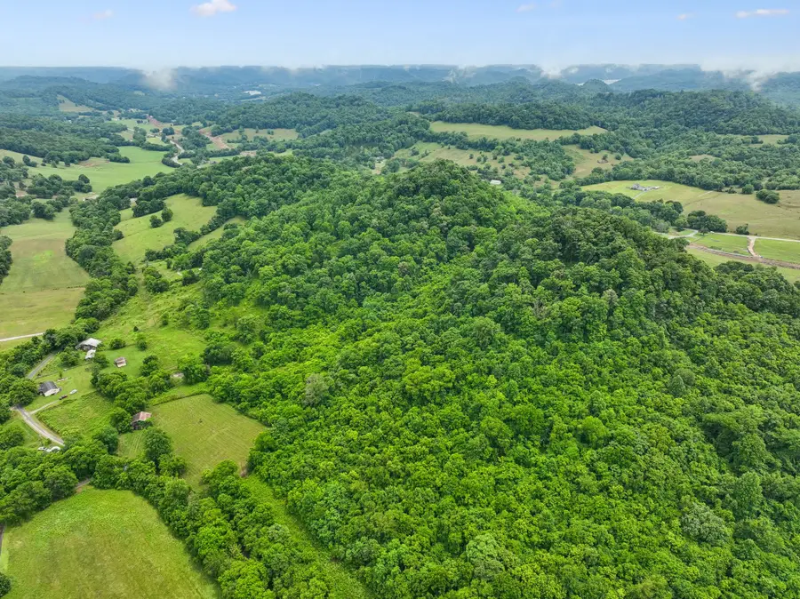 0 Little Salt Lick Creek Rd, Carthage, TN 37030 - #3