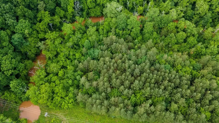 5 State Highway 163, Calhoun, TN 37309 - #3