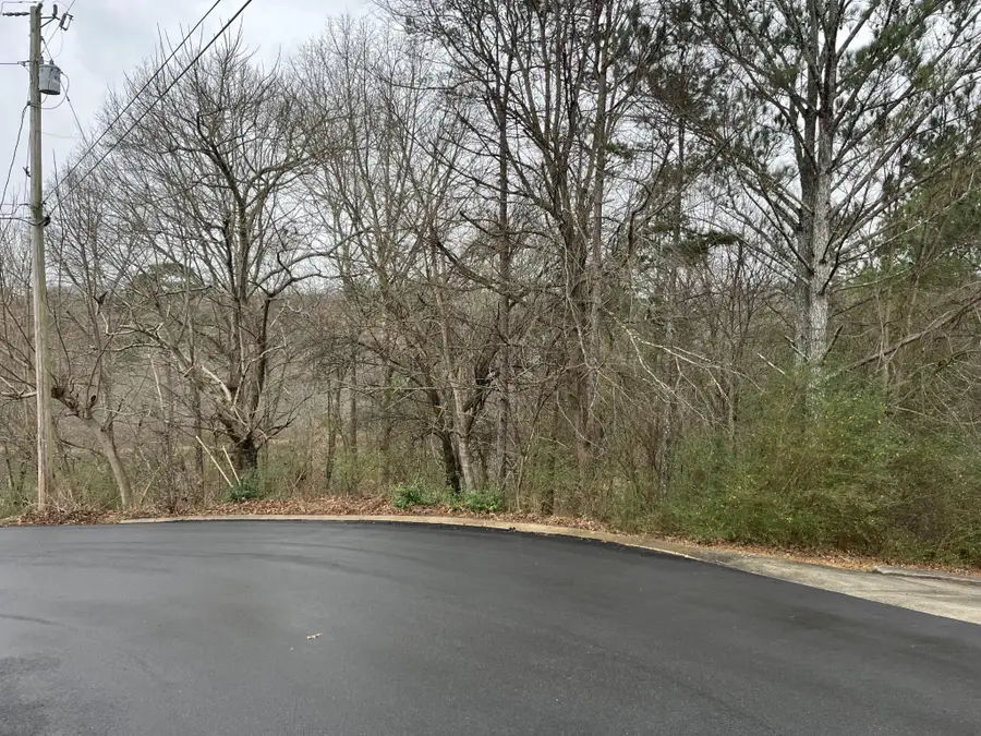29 Cleo Circle, Ringgold, GA 30736 - #3