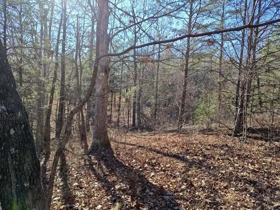 0 Skyhigh Trail, Dunlap, TN 37327 - #3