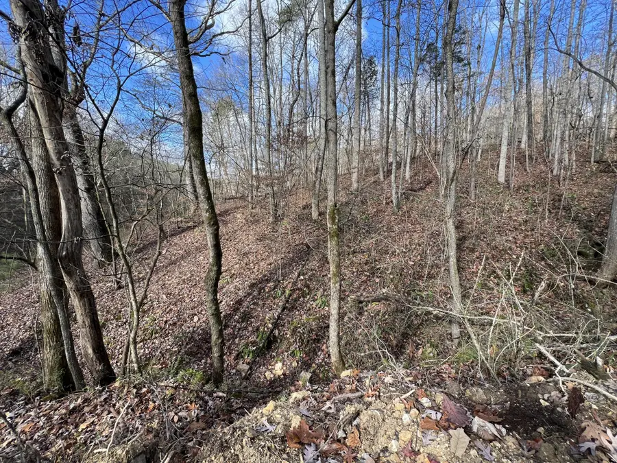 0 Smyrna Road, Evensville, TN 37332 - #3