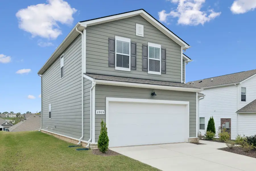 3905 Sadie St, Columbia, TN 38401 - #3