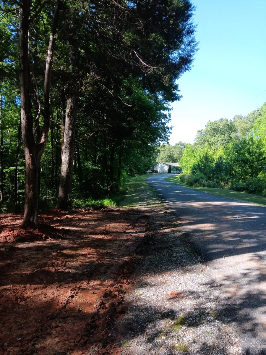 0 Logger Lane, Cedar Grove, TN 38321 - #2