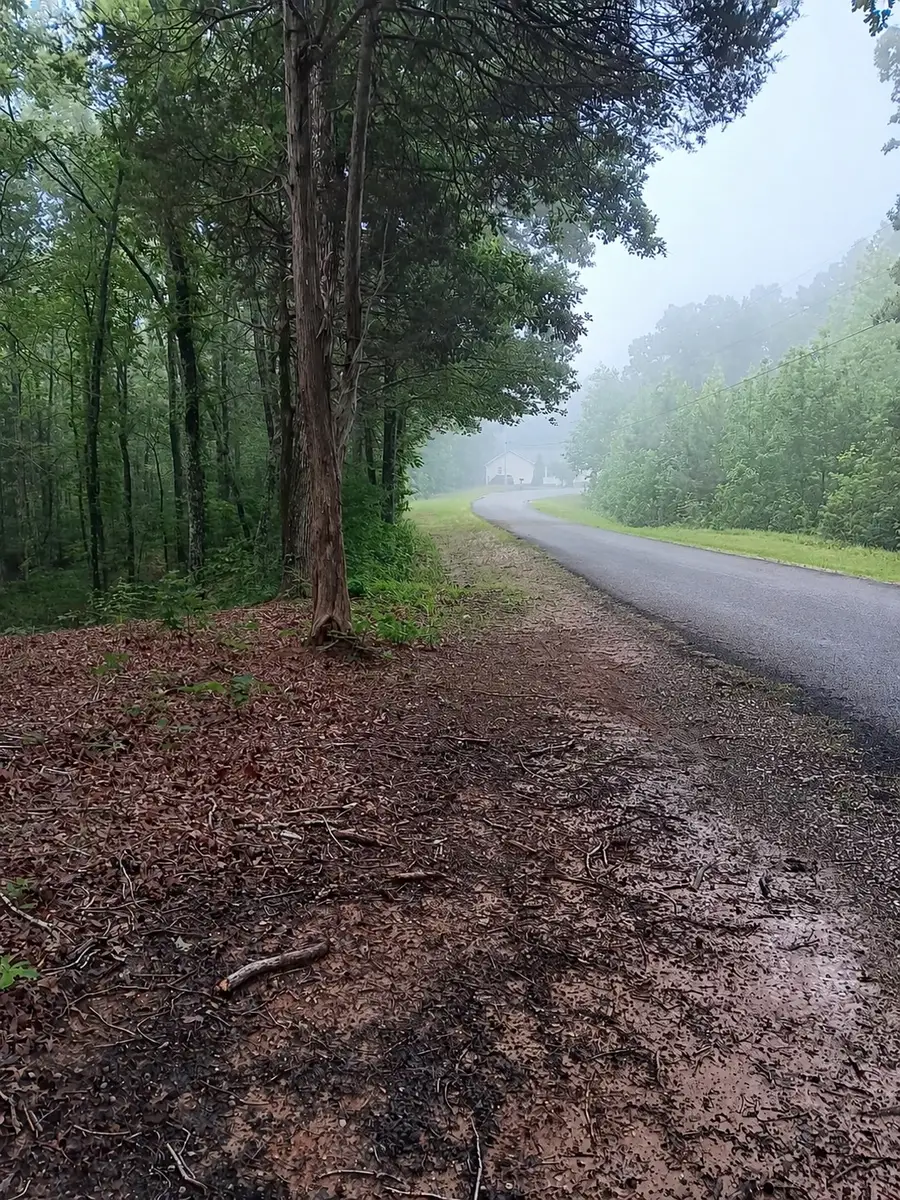 0 Logger Lane, Cedar Grove, TN 38321 - #3