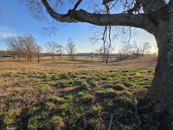 0 Homer Worsham, Springfield, TN 37172