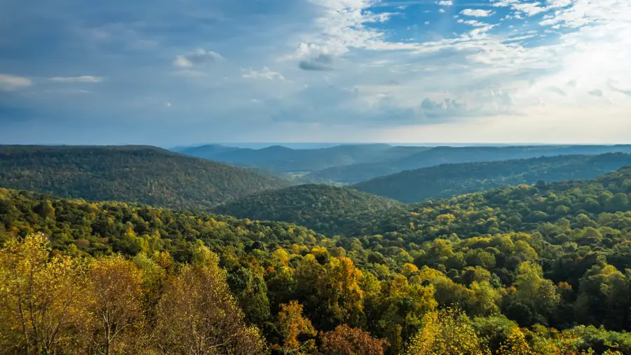 0 Gap Rd, Altamont, TN 37301 - #3