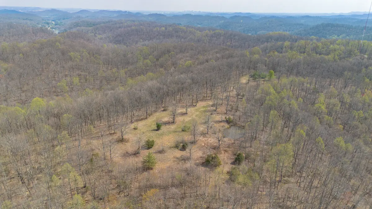 8218 Old Pond Creek Rd, Nashville, TN 37209 - #1