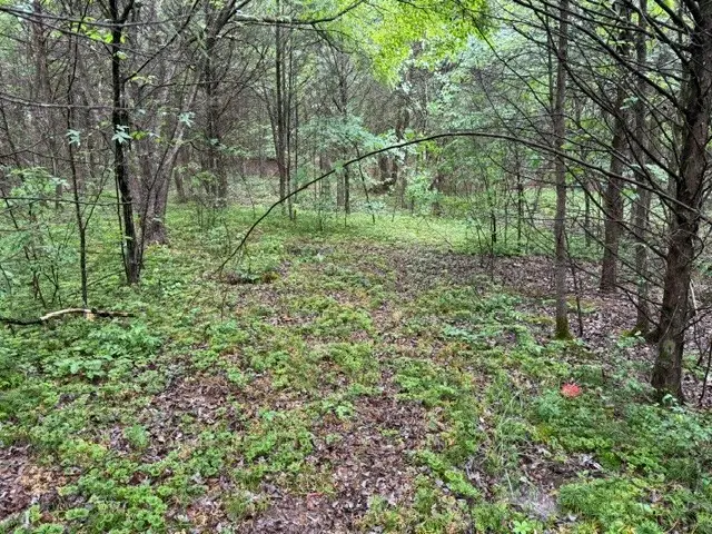 0 Freeze Rd, Morrison, TN 37357 - #2